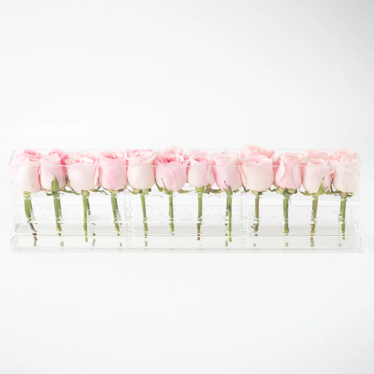 24 Roses Doble Row