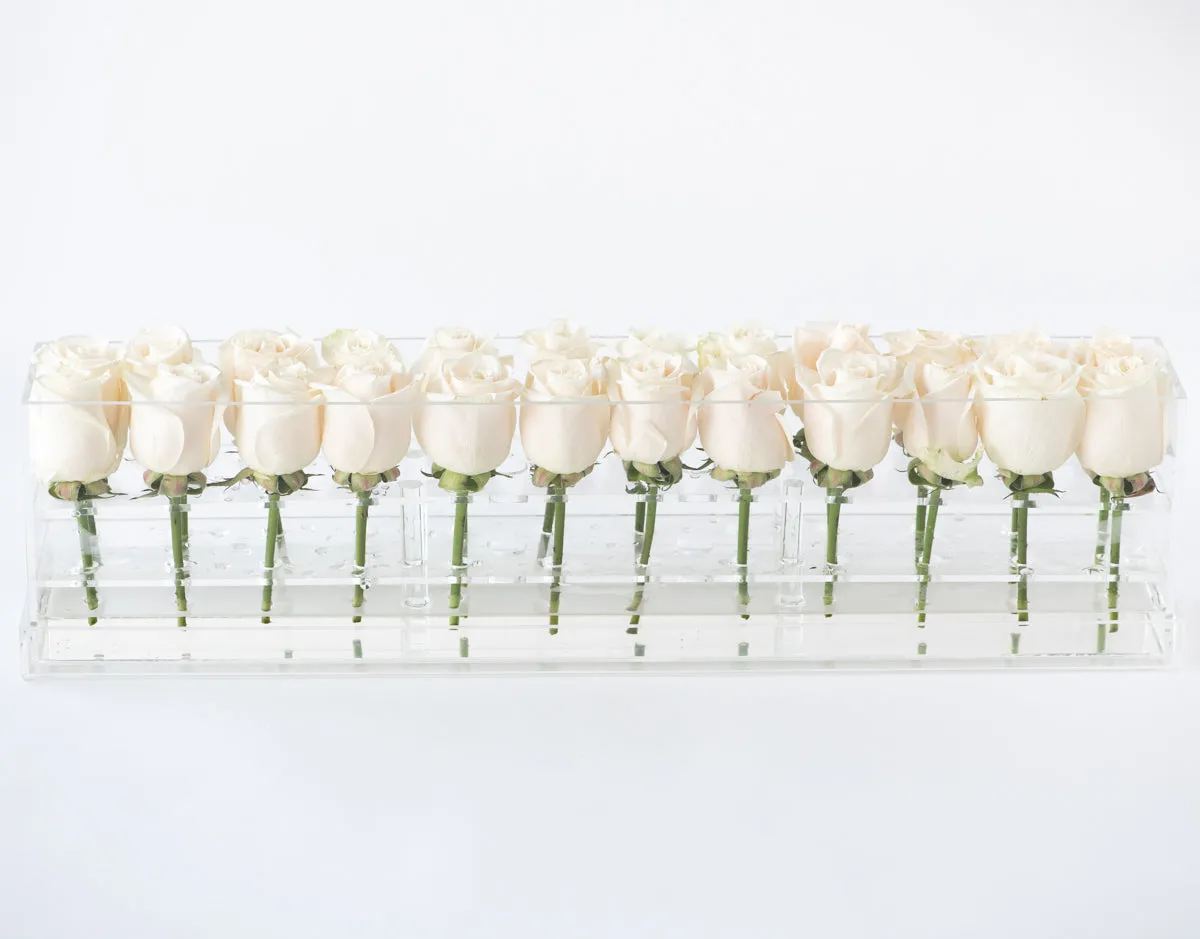 24 Roses Doble Row