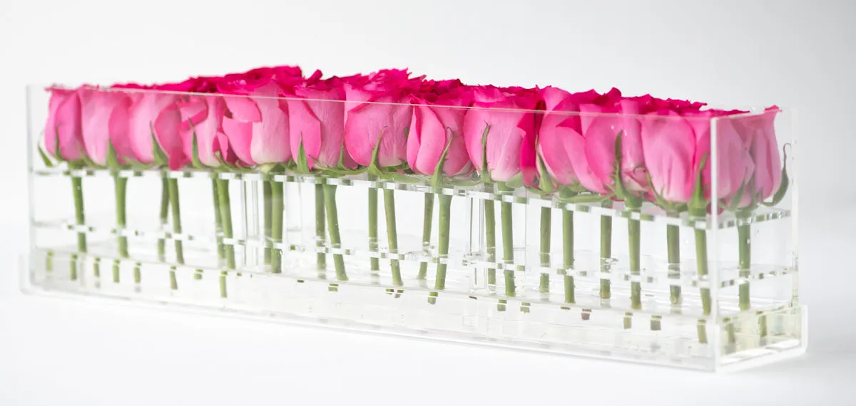 24 Roses Doble Row