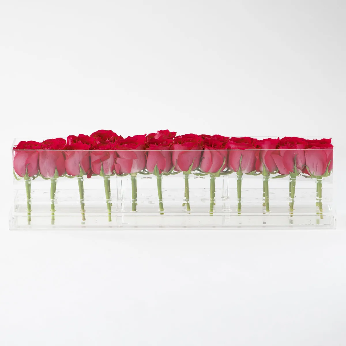24 Roses Doble Row