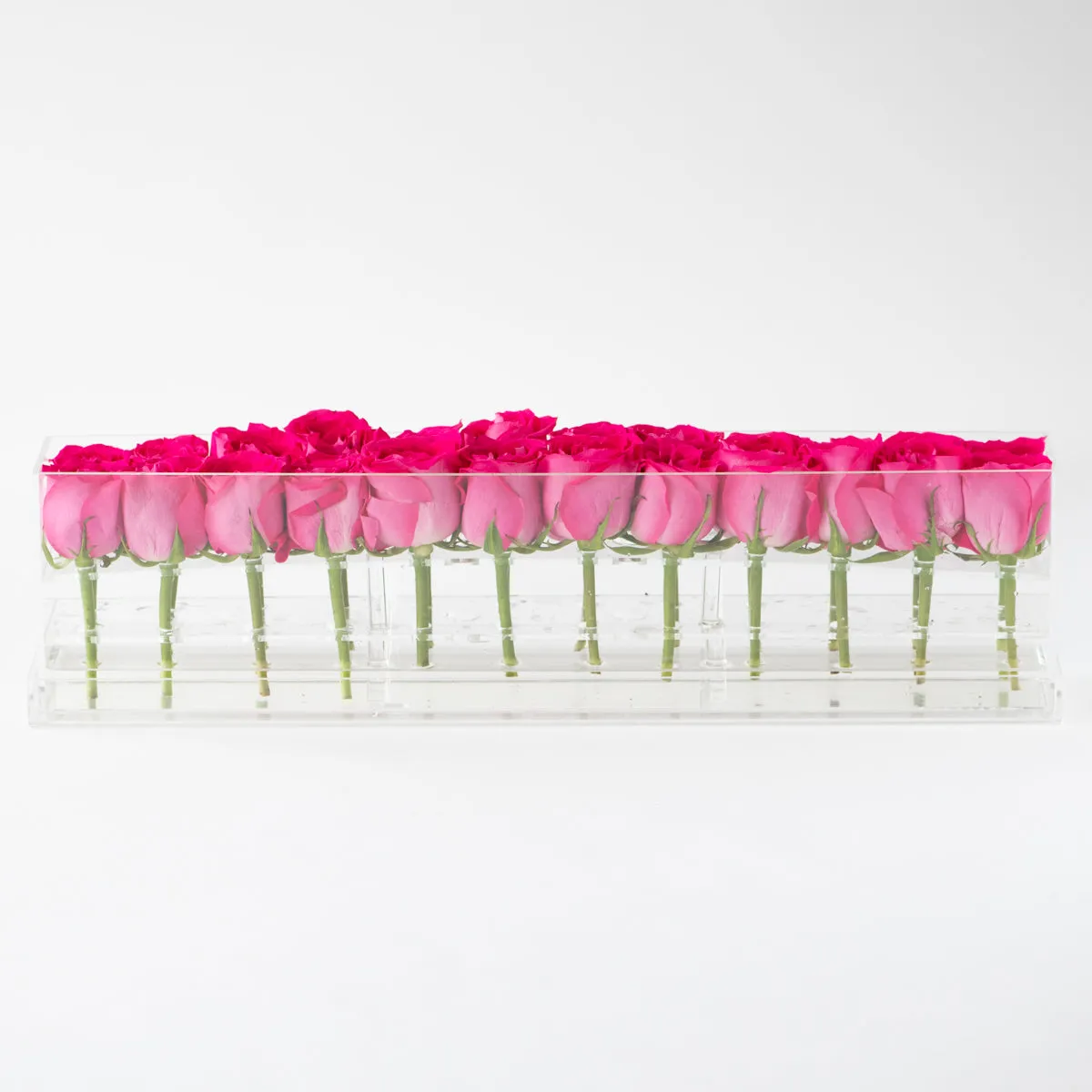 24 Roses Doble Row