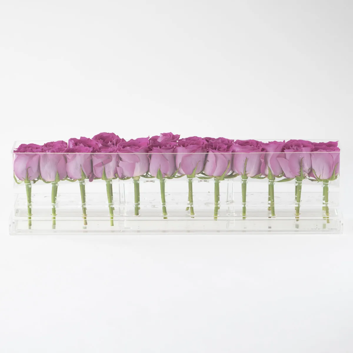 24 Roses Doble Row