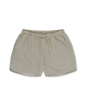 Asnou Swim Shorts, Stripe Blue