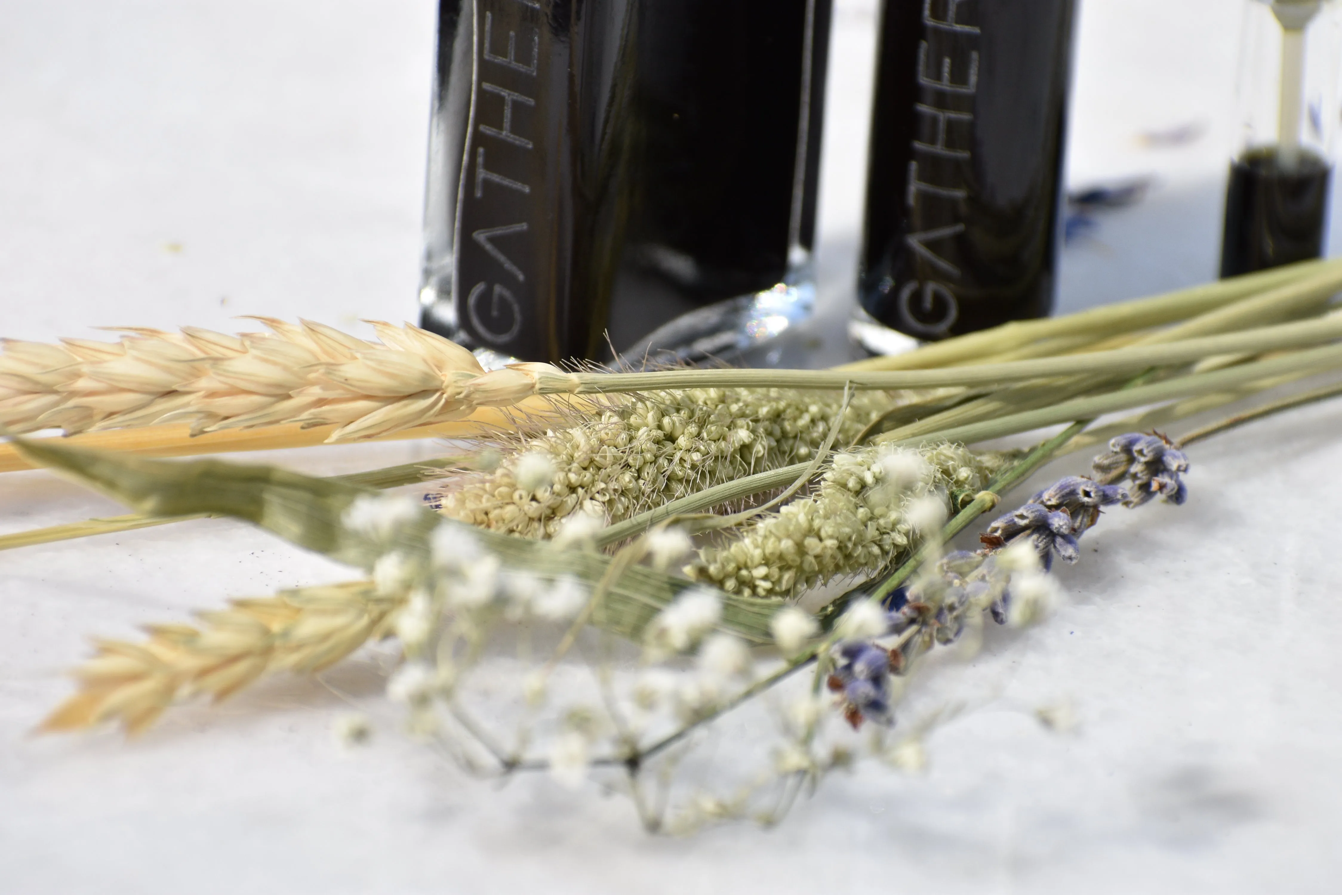 BLUEGRASS - Natural Botanical Perfume - The Prairie Meadow