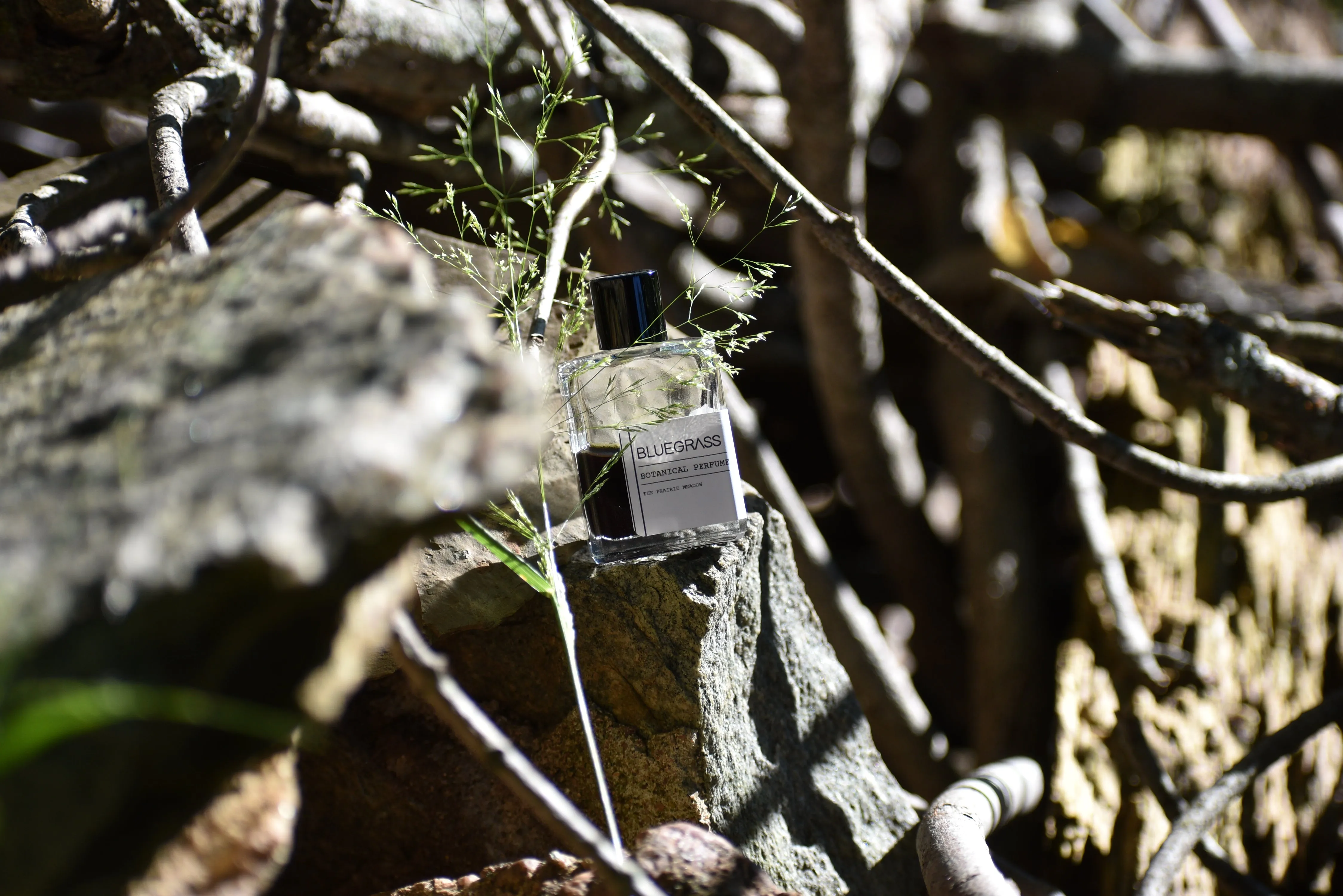 BLUEGRASS - Natural Botanical Perfume - The Prairie Meadow