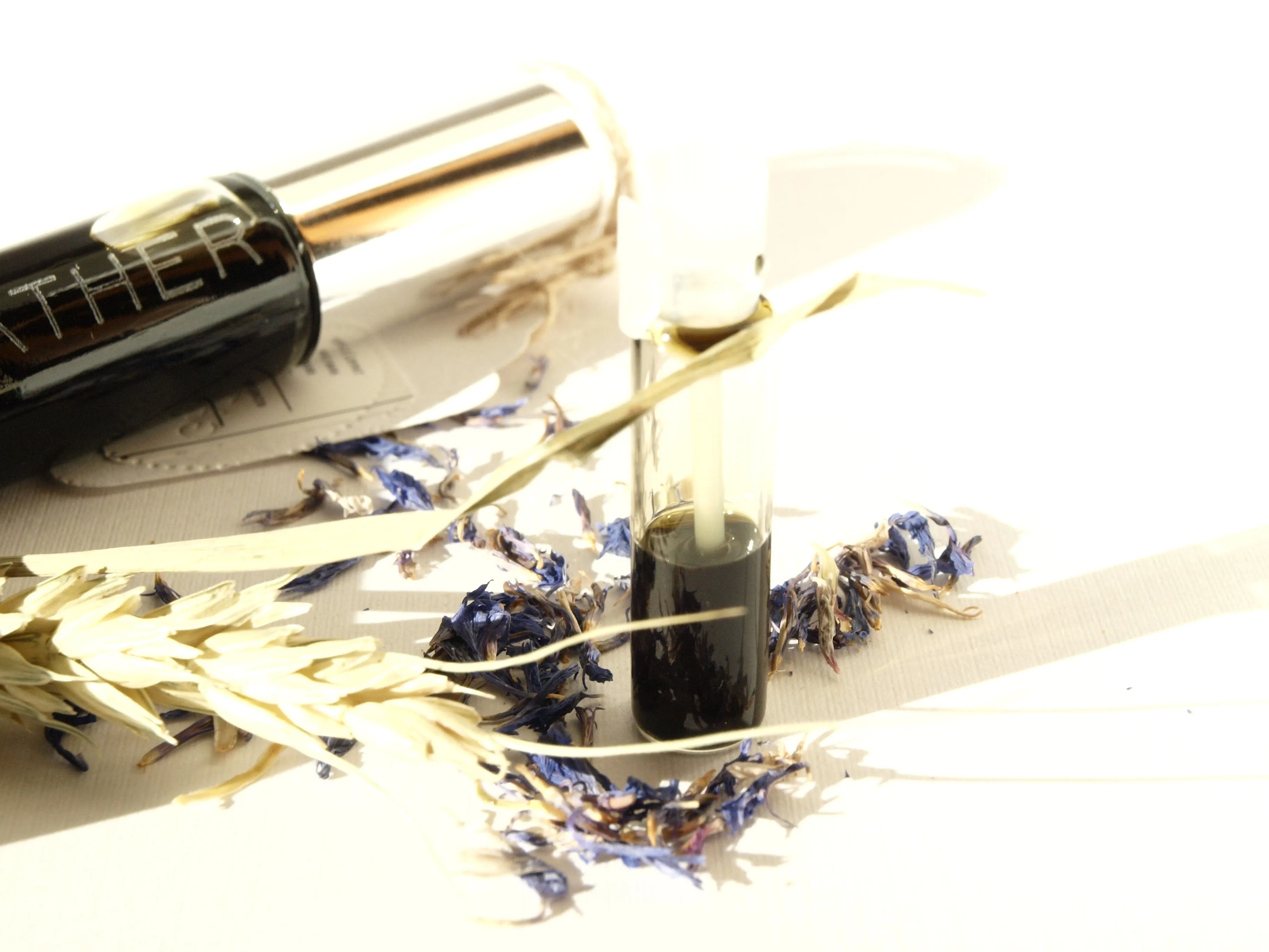 BLUEGRASS - Natural Botanical Perfume - The Prairie Meadow