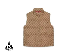 x The North Face Down Vest "Beige/Ebony"